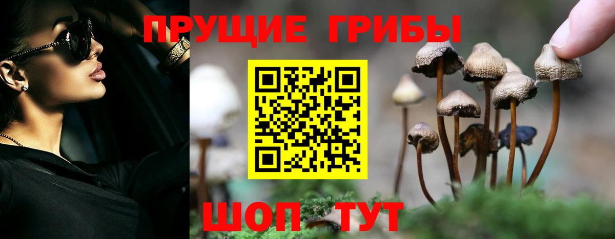 Галлюциногенные грибы мухоморы  Вход с VPN  Жуковский 